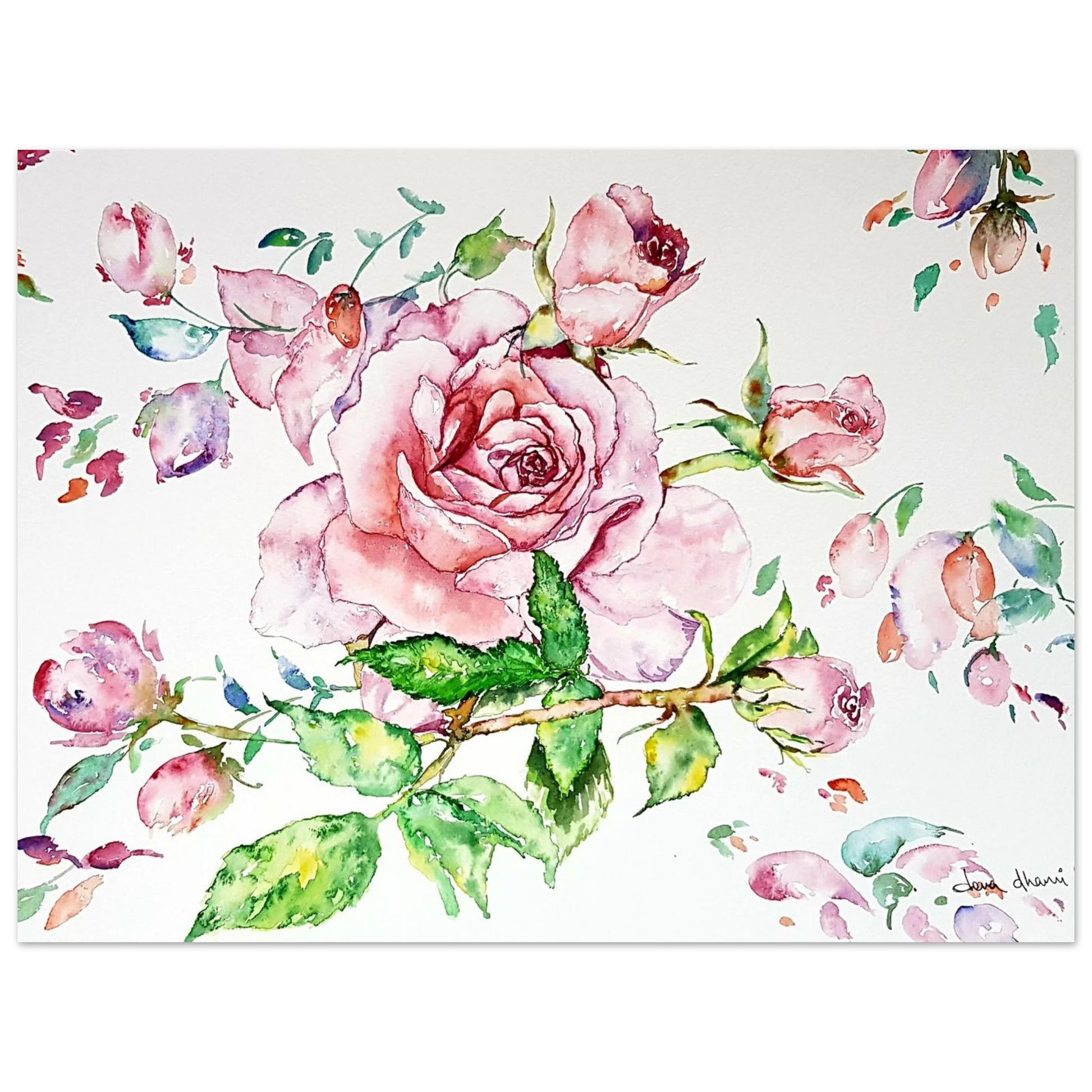 d3b61721-481e-40f1-9a68-dba64ca3876b